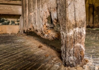 What is Wet Rot?
